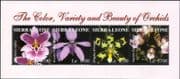 Sierra Leone 2004 ORCHIDS/ Flowers/ Plants/ Nature/ Orchid 4v m/s (n13288a)