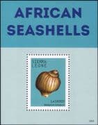 Sierra Leone 2013 Sea Shells/ Marine/ Nature/ Molluscs/ Animals/ Wildlife 1v m/s (s746a)