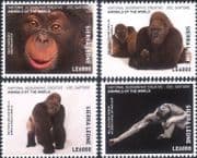Sierra Leone 2017 Apes/ Animals/ Nature/ Chimpanzee/ Gorilla/ Gibbon 4v set (b4448h)