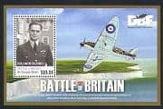Solomons 2010 Battle of Britain / RAF / Planes / Military / Bader / Spitfire 1v m / s n32882