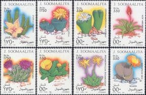 Somalia 1995  Cacti/  Cactus/ Plants/ Flowers/ Nature  8v set (b5301q)