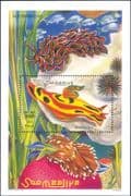 Somalia 1999 Nudibranch/ Sea Slug/ Animals/ Marine Life/ Nature 1v m/s (b9092r)