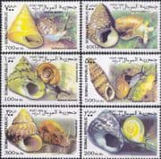 Somalia 1999 Sea Shells/ Seashells/ Marine/ Land Snails/ Nature/ Wildlife 6v set (s4603)