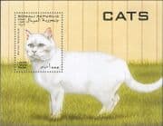 Somalia / Somali Republic 1997 Domestic Cats/ Pets/ Animals/ Nature 1v m/s (b5301m)