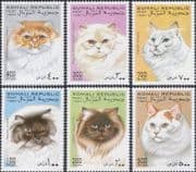 Somalia / Somali Republic 1997 Domestic Cats/ Pets/ Animals/ Nature 6v set (b5301k)