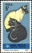 South Africa / RSA 1972 SPCA 100th/ Siamese Cats/ Pets/ Animals/ Nature 1v (n19278)