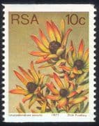 South Africa (RSA) 1977 10c Coil/ Sun Conebush/ Flowers/ Succulents/ Cacti/ Nature 1v (n21740)