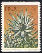 South Africa (RSA) 1977 1c Coil/ Silver Leaf Tree/ Flowers/ Succulents/ Cacti/ Nature 1v (n21741)