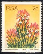 South Africa (RSA) 1977 2c Coil/ Red Pagoda/ Flowers/ Succulents/ Cacti/ Nature 1v (n21743)