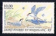 St Pierre & Miquelon 1995 Birds / Terns / Nature 1v n30534