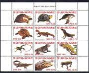 Surinam 2007 Reptiles / Lizards / Tortoise / Turtle / Crocodile / Dragon / Nature 12v n34398