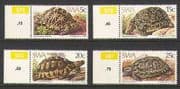 SWA 1982 Tortoises / Animals / Nature 4v set (n19977)
