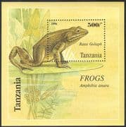 Tanzania 1996 Goliath Frog/ Frogs/ Nature/ Amphibians/ Wildlife/ Animals/ Conservation 1v m/s (s2463)