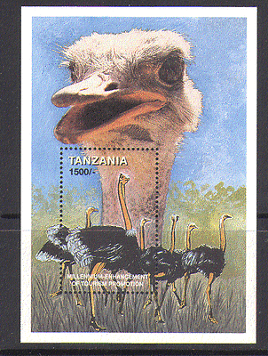 Tanzania 1999 OSTRICH/ Birds/ Nature/ Wildlife/ Tourism 1v m/s (n13226)