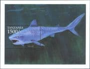 Tanzania 1999 Tiger Shark/ Marine Animals/ Fish/ Nature/ Wildlife 1v m/s (s639n)