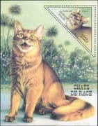 Togo - Togolaise 1999 Cats/ Pets/ Domestic Animals 1v triangle m/s (b3715)