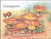 Togolaise - Togo 2000 Fungi/ Mushrooms/ Plants/ Nature 1v m/s (s4611)
