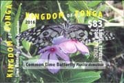 Tonga 2015 Butterflies/ Insects/ Nature/ Flowers/ Butterfly/ Express Mail/ EMS 1v m/s (b3356e)