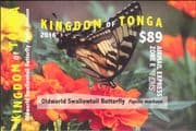 Tonga 2015 Butterflies/ Insects/ Nature/ Flowers/ Butterfly/ Express Mail/ EMS 1v m/s (b3356f)