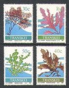 Transkei 1988 Seaweed / Plants / Marine 4v set (n21520)