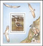 Transkei 1991 Egyptian Vulture/ Raptors/ Birds/ Nature/ Wildlife/ Vultures 1v f/s (b7656)