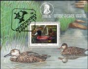 Transkei 1992 Ducks/ Birds/ Waterfowl/ Nature/ Wildlife/ StampEx 1v f/s vfu (n17931)
