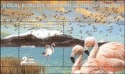 Turkey 2018 Flamingo/ Birds/ Nature/ Wildlife/ National Park/ Flamingos 1v m/s (b9771d)