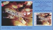 Turks & Caicos 1998 Shrimp/ Marine Animals/ Fish/ Nature/ Photography 1v m/s (b7834b)