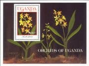 Uganda 1989 Orchids/ Plants/ Nature/ Flowers/ Orchid 1v m/s (b5311m)