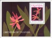 Uganda 1989 Orchids/ Plants/ Nature/ Flowers/ Orchid 1v m/s (b5311n)