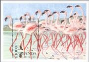 Uganda 1990 Lesser Flamingo/ Birds/ Nature/ Wildlife/ Conservation 1v m/s (b9771c)