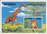 Uganda 1991 Giraffe/ Animals/ Wildlife/ Nature/ Conservation 1v m/s (s2463g)