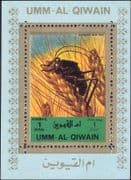 Umm al Qiwain 1972 Insects/ Nature/ Bugs/ Flies/ Beetles/ Wildlife 1v m/s (n11493)