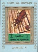 Umm al Qiwain 1972 Insects/ Nature/ Bugs/ Flies/ Beetles/ Wildlife 1v m/s (n11497)