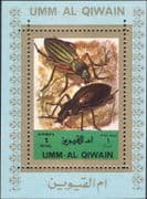 Umm al Qiwain 1972 Insects/ Nature/ Bugs/ Flies/ Beetles/ Wildlife 1v m/s (n11506)