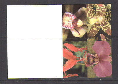 United Nations 2005 ORCHIDS / Flowers p / card ref:n14976