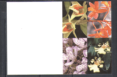 United Nations 2005 ORCHIDS / Flowers p / card ref:n14978