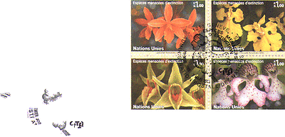 United Nations (G) 2005 ORCHIDS / Flowers 4v FDC n14984