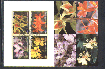 United Nations (G) 2005 ORCHIDS / Flowers Maxicard n14981