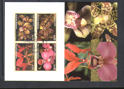 United Nations (V) 2005 ORCHIDS / Flowers Maxicard n14979