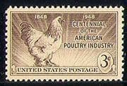 USA 1948 Poultry/ Rooster/ Chickens/ Birds/ Farming/ Nature/ Food Industry 1v (n29228)
