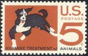 USA 1966 Dogs/ Pets/ Animals/ Nature/ Animation/ Animal Protection 1v (n43430)