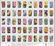 USA 1992 Wild Flowers/ Plants/ Nature/ Orchids/ Cacti/ Lily/ Poppy/ Cactus/ Trees 50v sht (n44359)