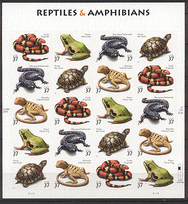 USA 2003 Snake  /  Frog  /  Lizards  /  Turtle  /  Reptiles  /  Amphibians  /  Nature 20v sheet (s5879)