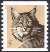 USA 2013 Bobcat/ Cats/ Wildlife/ Animals/ Nature/ Conservation 1v ex coil (n44589a)