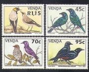 Venda 1994 Starlings / Birds / Nature / Wildlife / Conservation 4v set (b1341)