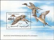 Yemen 1990 Pintail Duck/ Ducks/ Migratory Birds/ Nature/ Wildlife/ Migration 1v m/s (n32360)