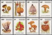 Zaire 1979 Fungi/ Nature/ Plants/ Mushrooms 8v set (n46186)