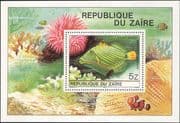 Zaire 1980 Tropical Fish/ Triggerfish/ Coral Reef/ Marine/ Nature 1v m/s (b5526)