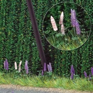 BUS1217 Wild Lupins